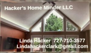 Hacker’s Home Minder